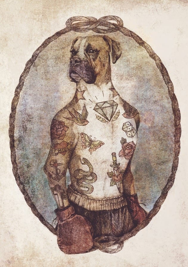 Boxer By Mike Koubou