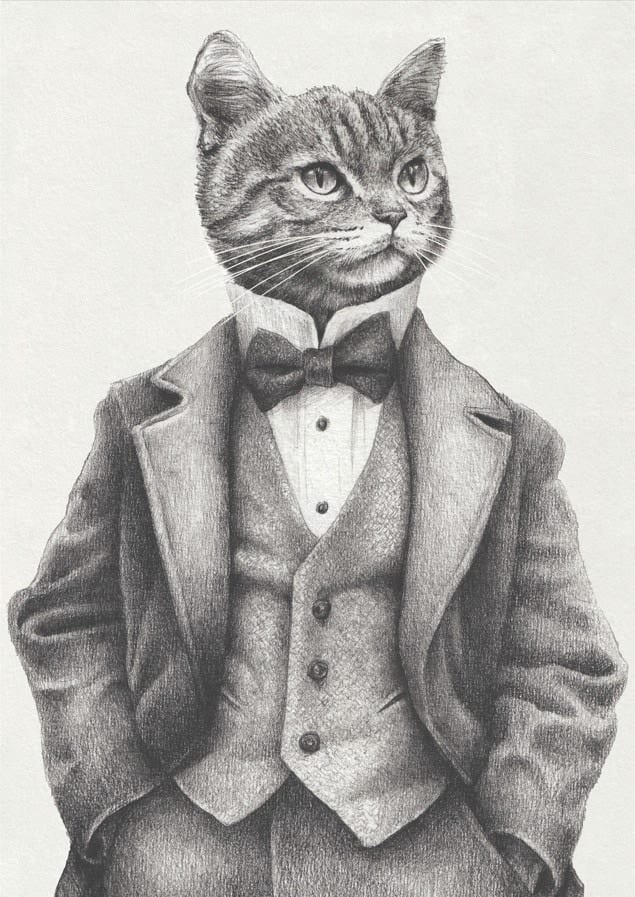 The Cat II By Mike Koubou