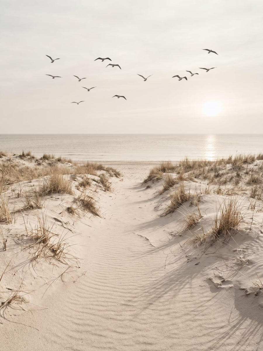 Peaceful Sandy Path By Andreas Magnusson | Art & Canvas Print