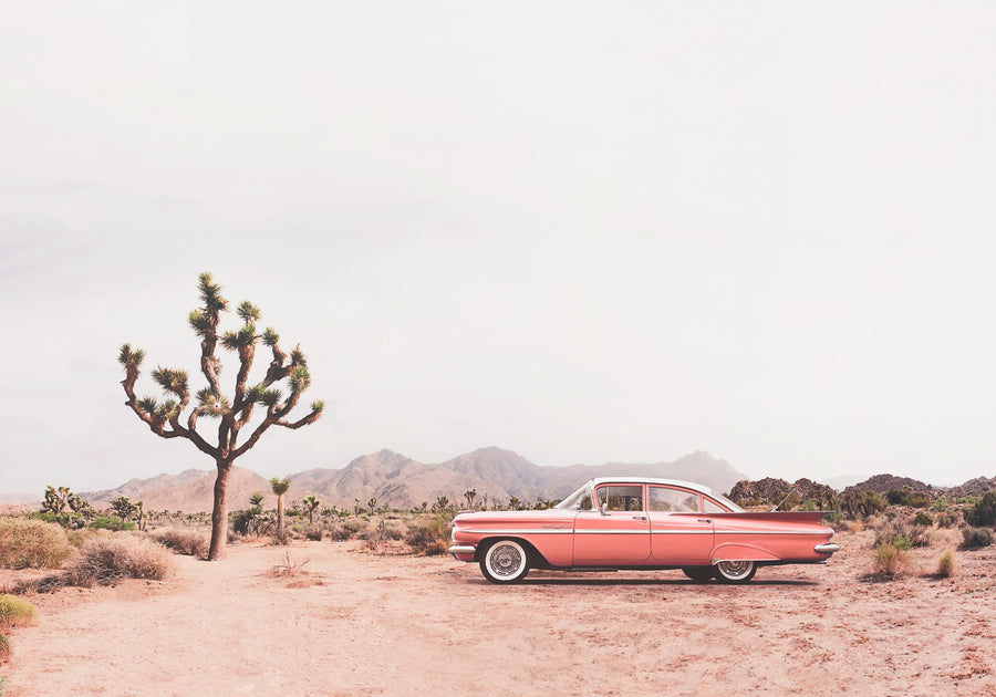 In the desert By Kathrin Pienaar | Art & Canvas Print