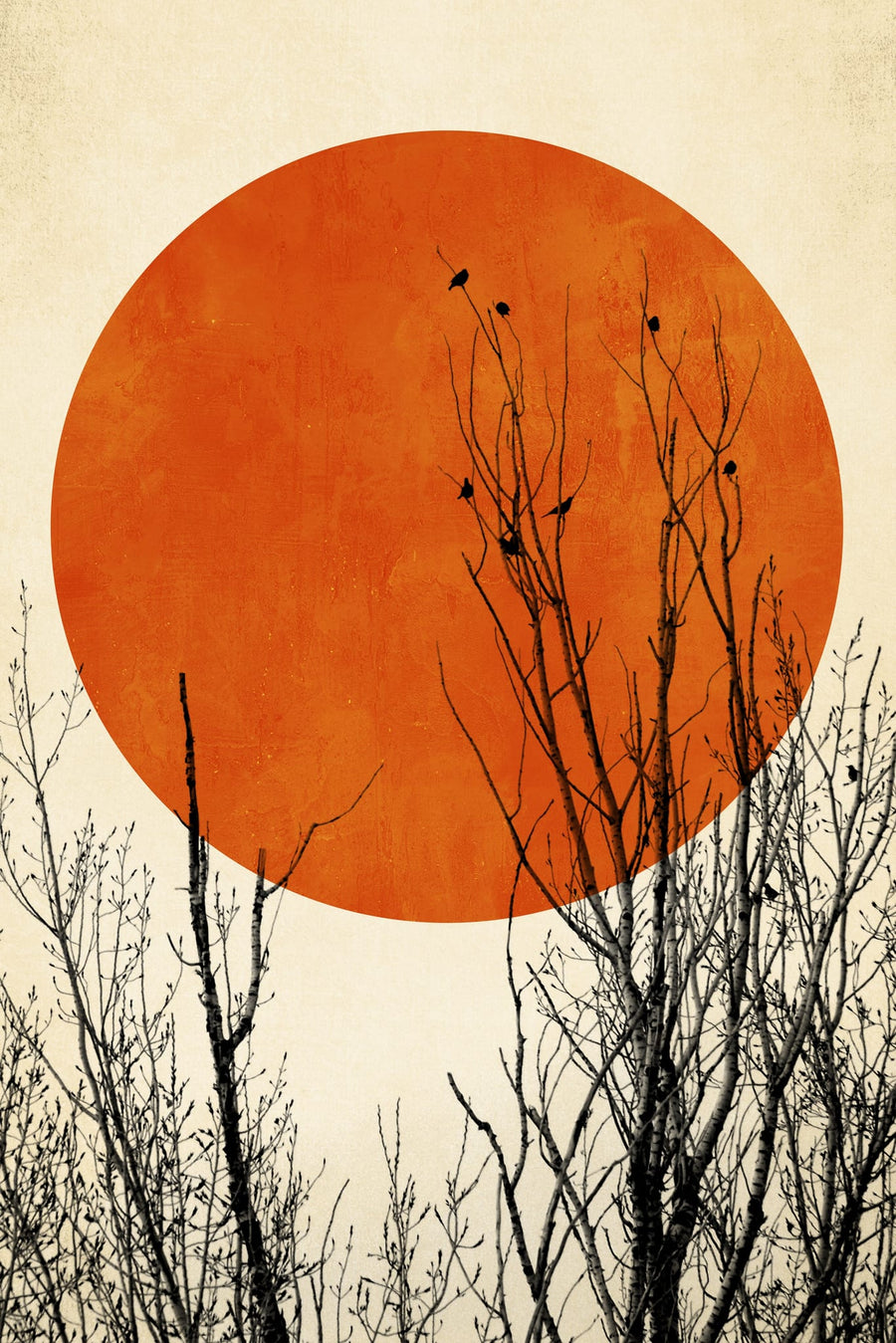 Winter Glow By Kubistika | Art & Canvas Print