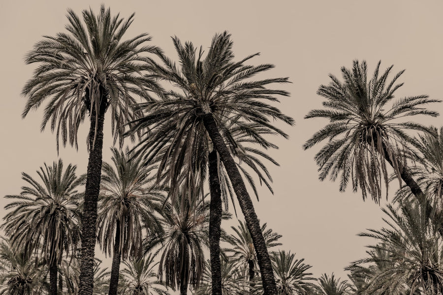 Sicilian Memories 15 By Mareike Böhmer | Art & Canvas Print
