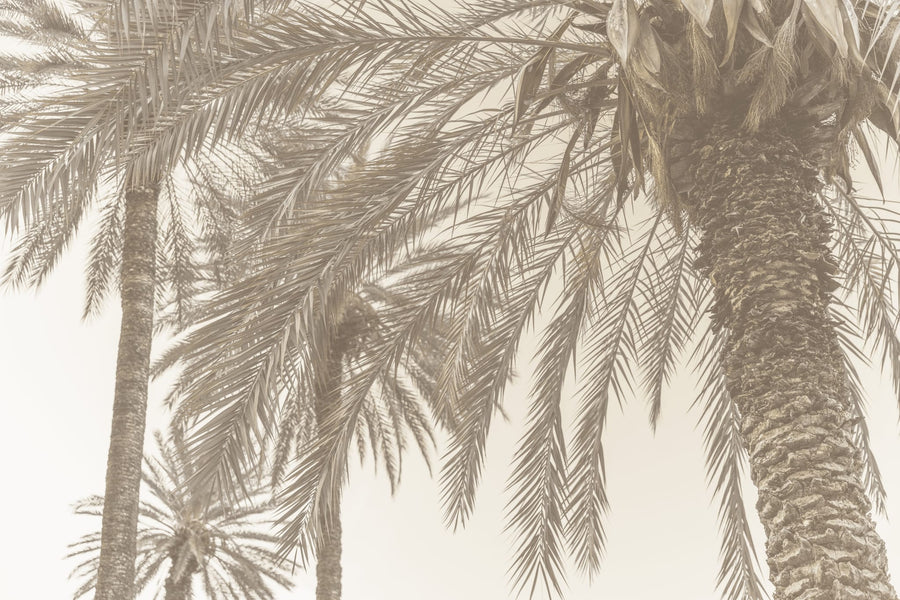 Sicilian Memories 12 By Mareike Böhmer | Art & Canvas Print