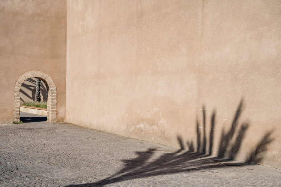 Palm Shadow Archway By Photolovers | Art & Canvas Print