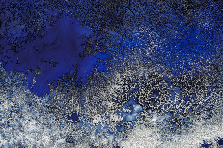 Sunlit Reef By Petra Meikle de Vlas | Art & Canvas Print