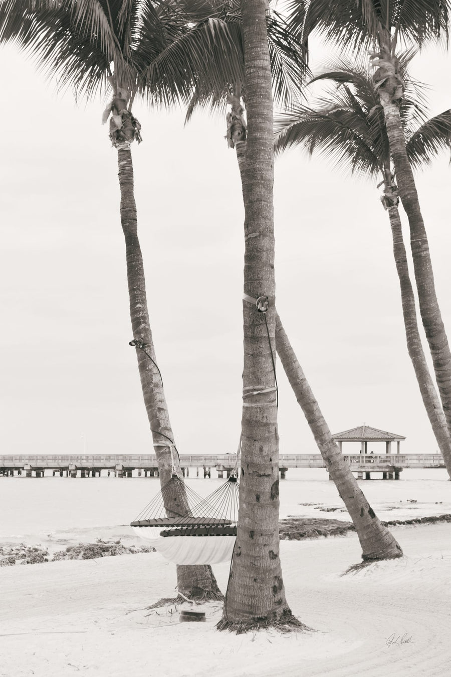 The Beach II Sepia By Deborah Revell | Art & Canvas Print