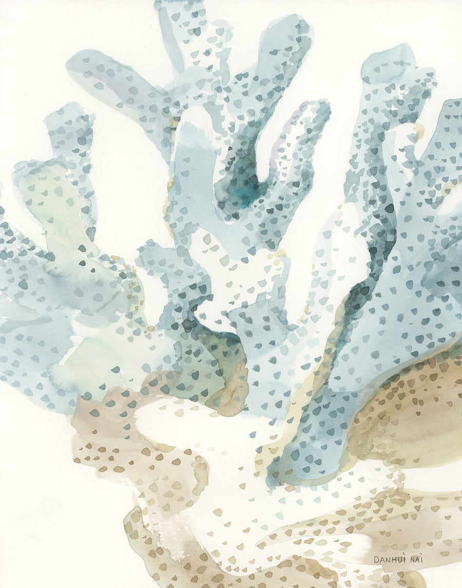 Timeless Coral By Danhui Nai | Art & Canvas Print