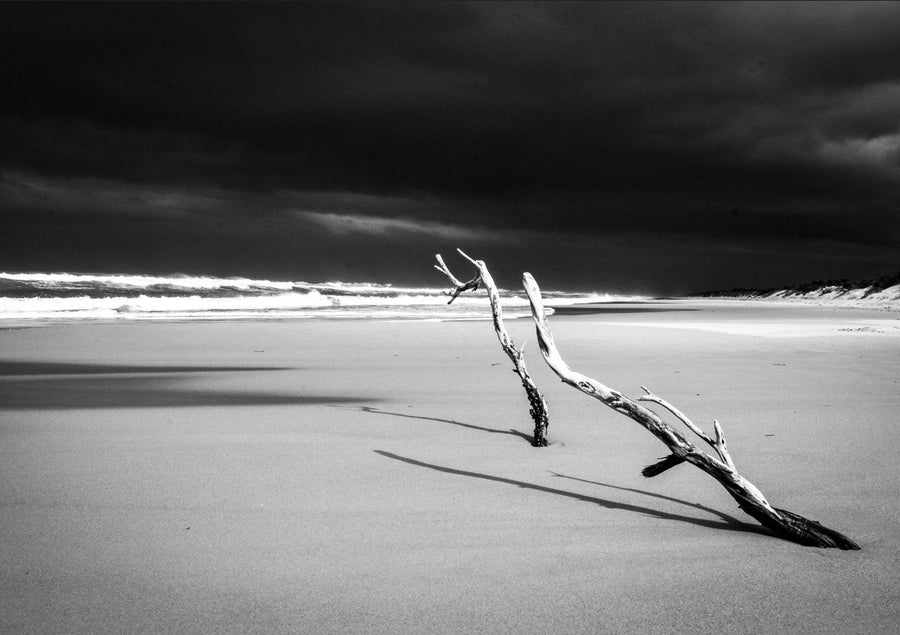 90 Mile Beach by Nicole Hunter