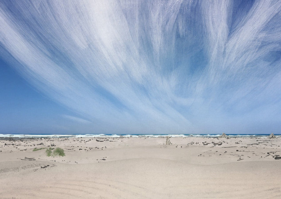 Arthur River Beach Tasmania by Dear Muskeeter