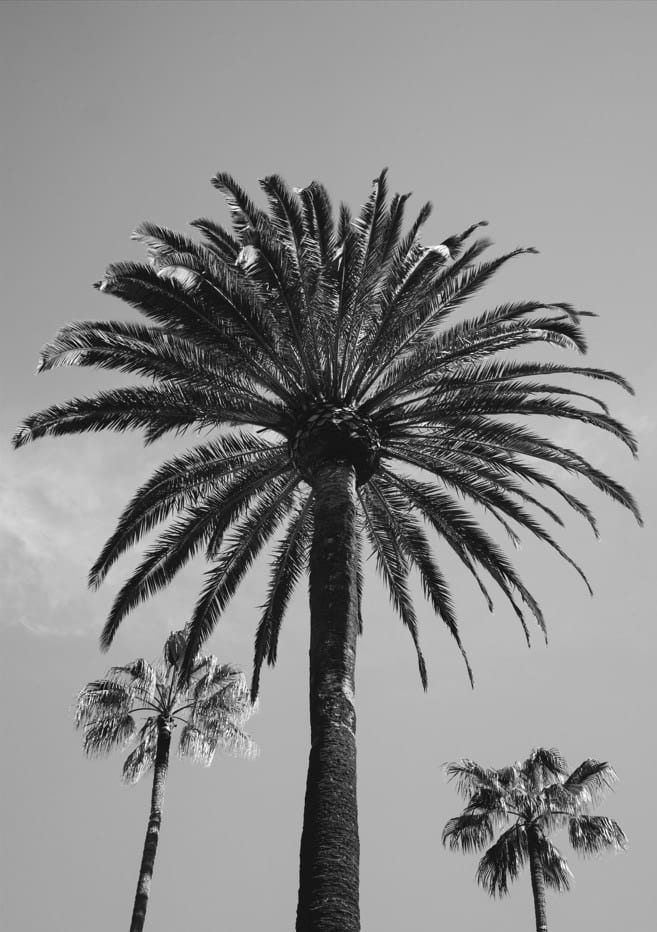 Beverly Hills Sky III By Bethany Young