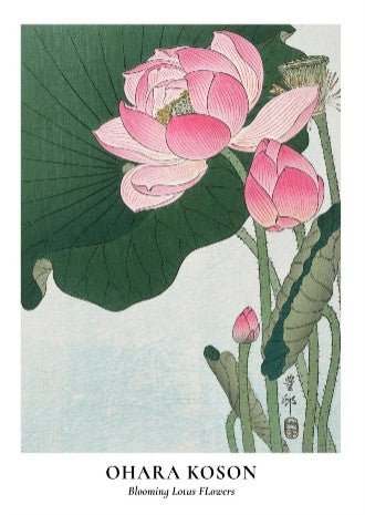 Blooming Lotus Flowers Wall Art by Ohara Koson