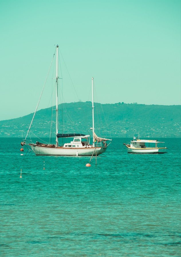 Boats Anchored in the Bay by Steven Scott