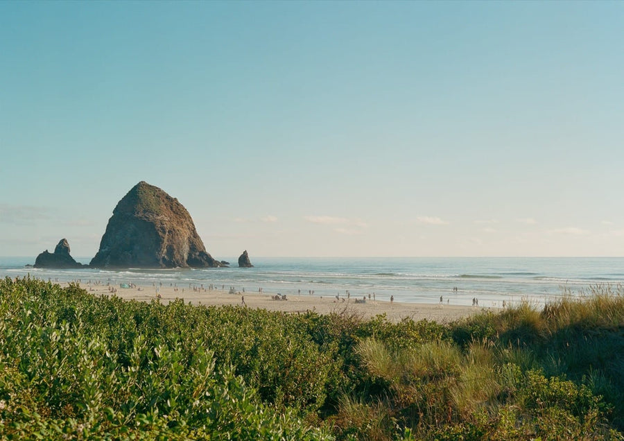 Cannon Beach By Bethany Young