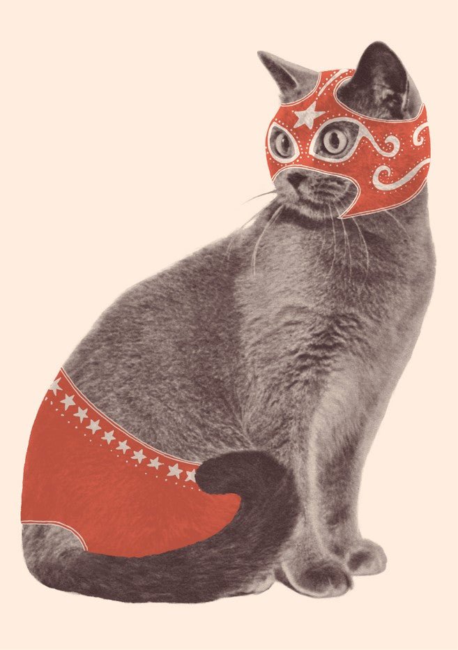 Chat Catcheur by Florent Bodart
