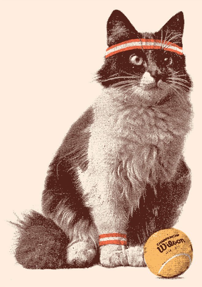 Chat Tennis by Florent Bodart