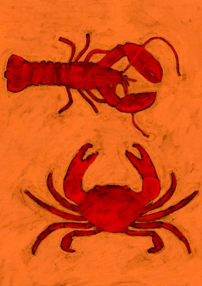 Coastal Creatures By Shatha Al Dafai