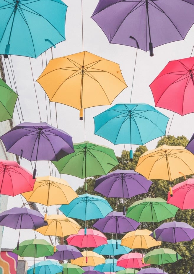 Colorful Umbrellas By Tom Windeknecht