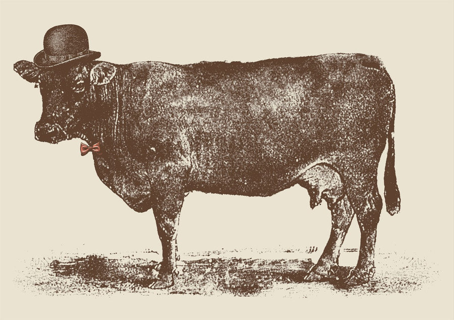 Cow Cow Nut by Florent Bodart