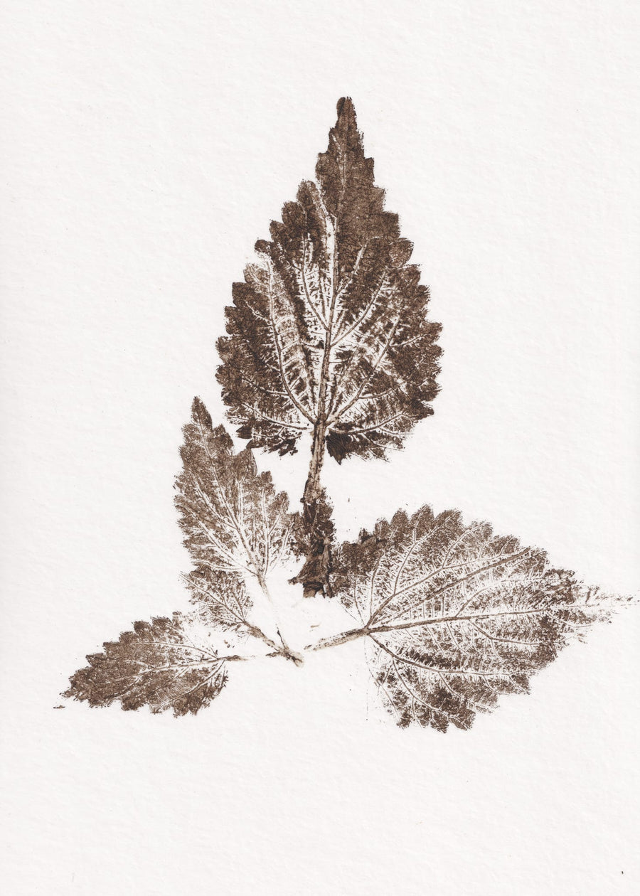 Earthy Botanical Leaf Print By Maira Ribena | Art & Canvas Print