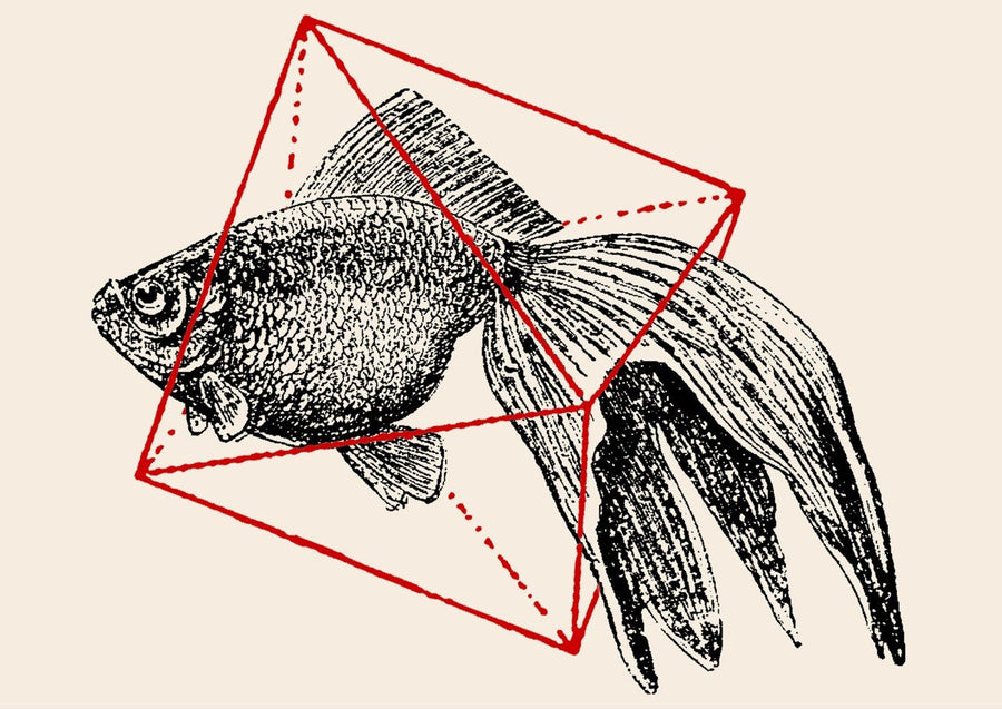 Fish in Geometrics - Goldfish by Florent Bodart