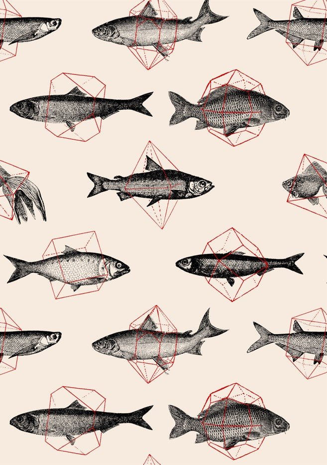 Fishes in Geometrics I by Florent Bodart