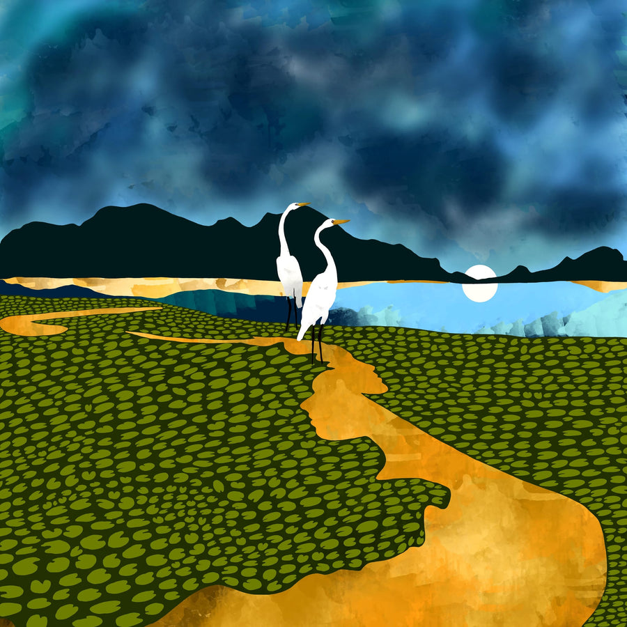Great Egrets On Honeymoon Island By 83 Oranges | Canvas Square Print