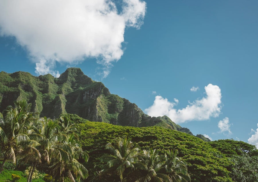 Hawaiian Mountain III By Bethany Young