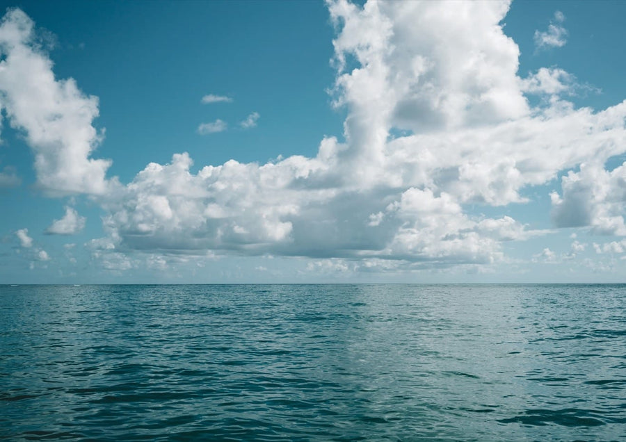 Hawaiian Ocean View By Bethany Young