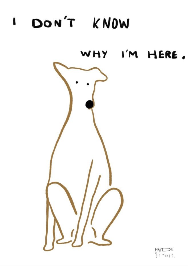 I Don't Know Why I'm Here Dog by Hayde Nizard