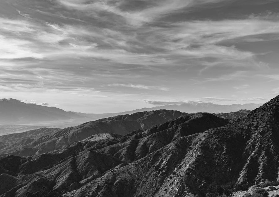 Joshua Tree National Park XXVII By Bethany Young