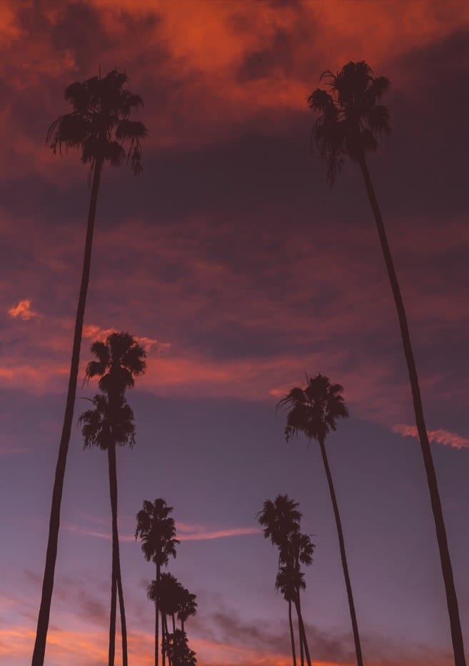 LA Sunset III By Bethany Young