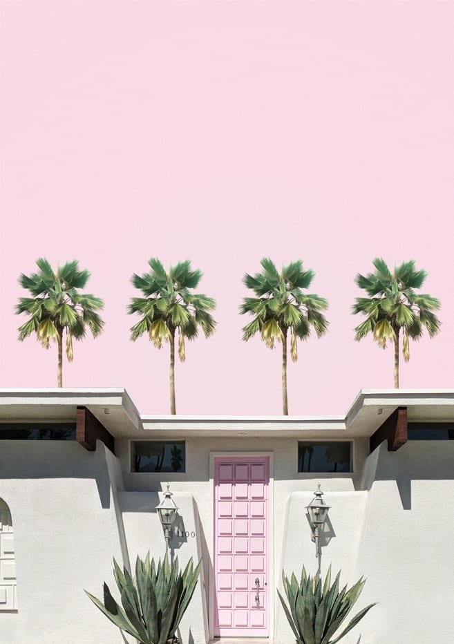 Mid Century Pink Door House Palm Springs, California By Tom Windeknecht