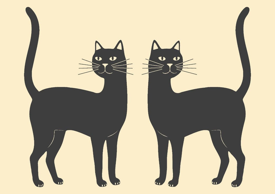 Mirror Black Cat Landscape Wall Art Print