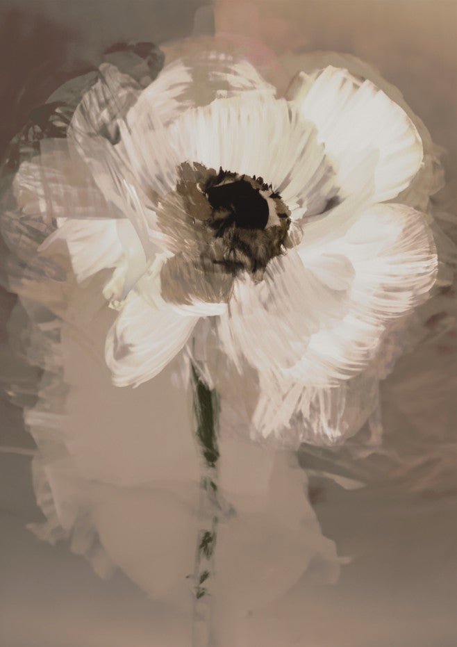 Muted Daisy by Dear Muskeeter