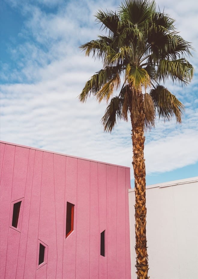 Palm Springs Vibes By Bethany Young