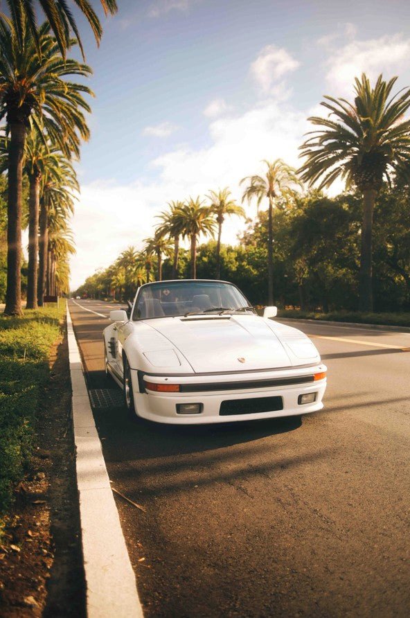 Palms & Porsche by Gelica Peralta