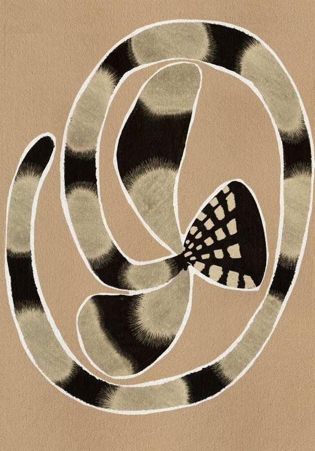 Petal Whisper By Shatha Al Dafai