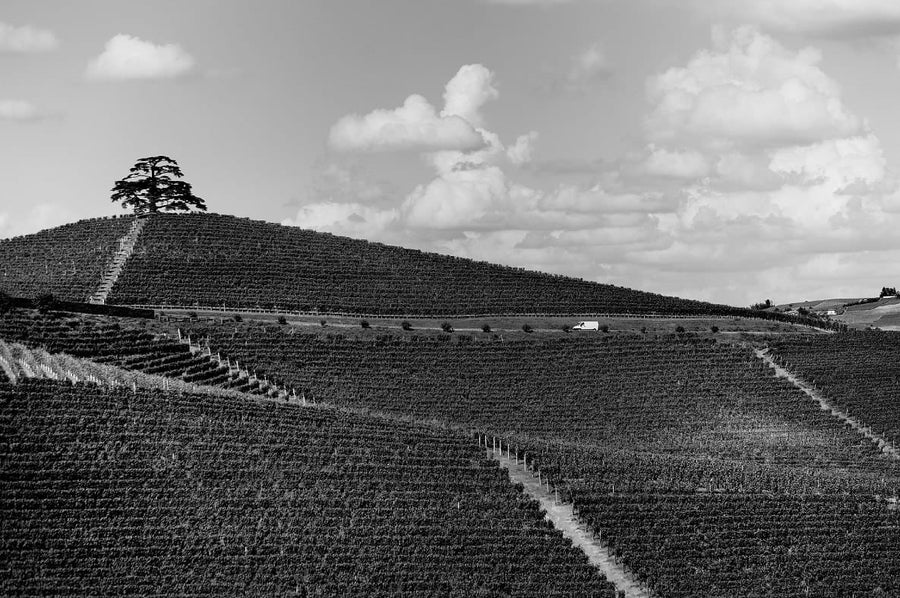 Piemonte By Robin Skjoldborg