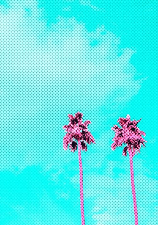 Pink Palm Tree Twins By Tom Windeknecht