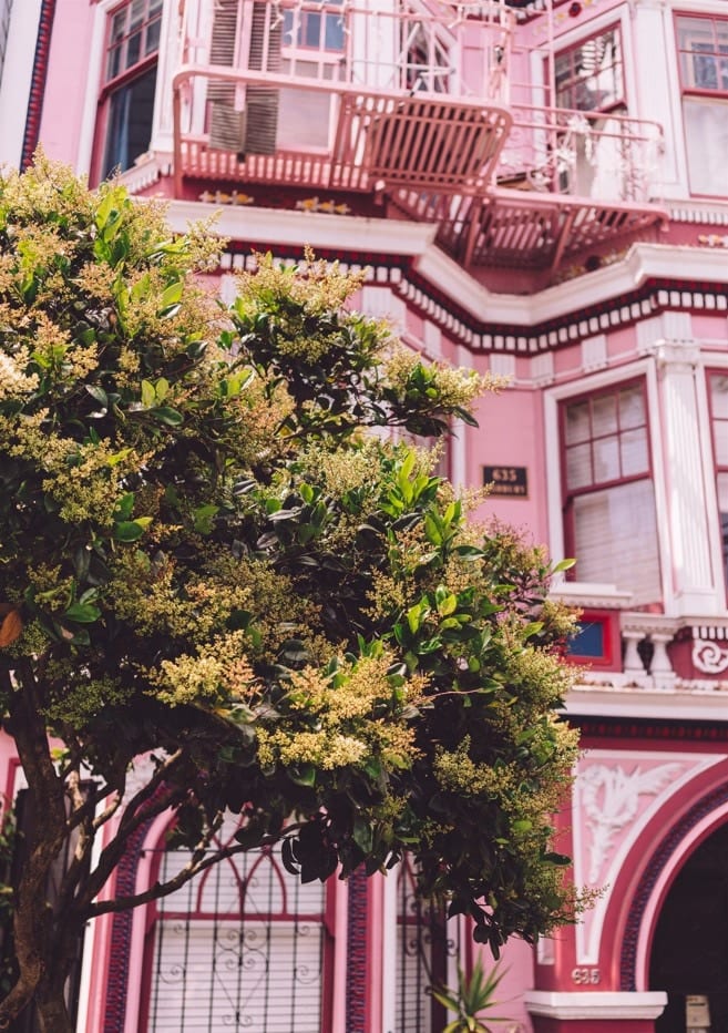 San Francisco Pink By Bethany Young