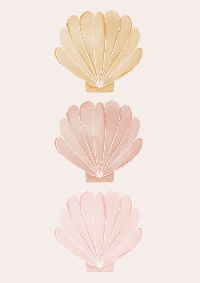 Sea Shells by Menina Lisboa