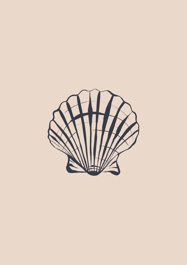 Seashell by Ivy Green Illustrations