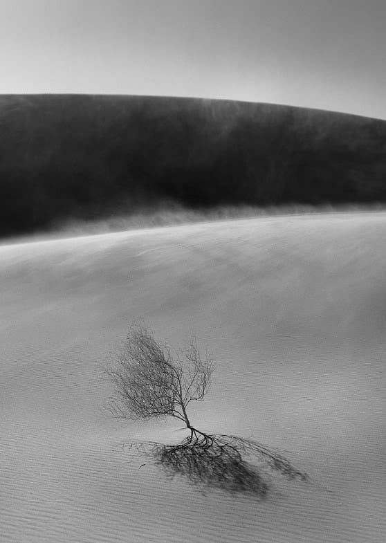 Solitude In The Dunes By Robin Skjoldborg
