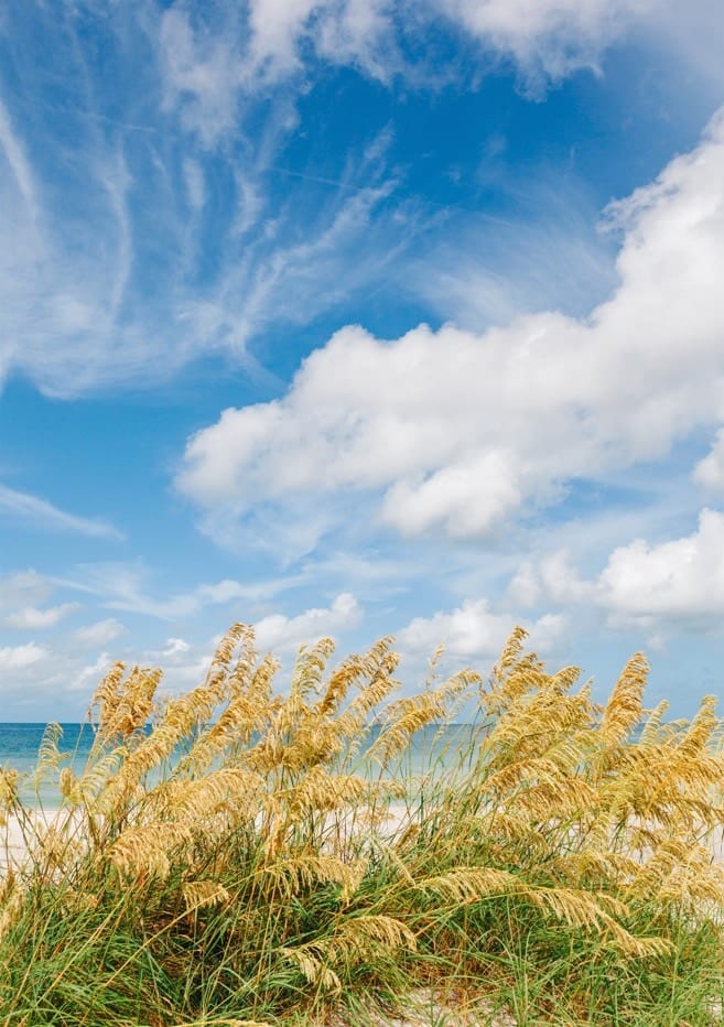 St. Pete Beach III By Bethany Young