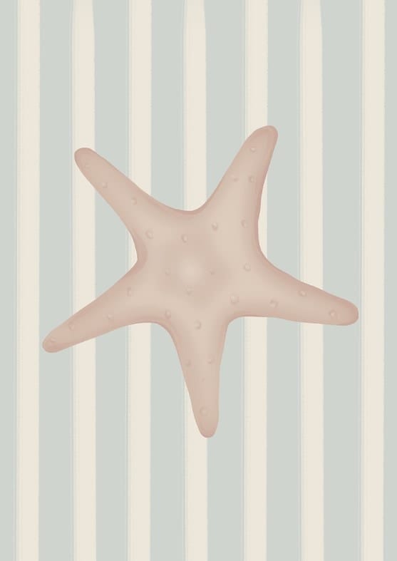 Star Fish By Lisen Vennesland