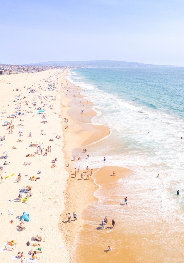 Sun-Drenched Swell by Richard Podgurski