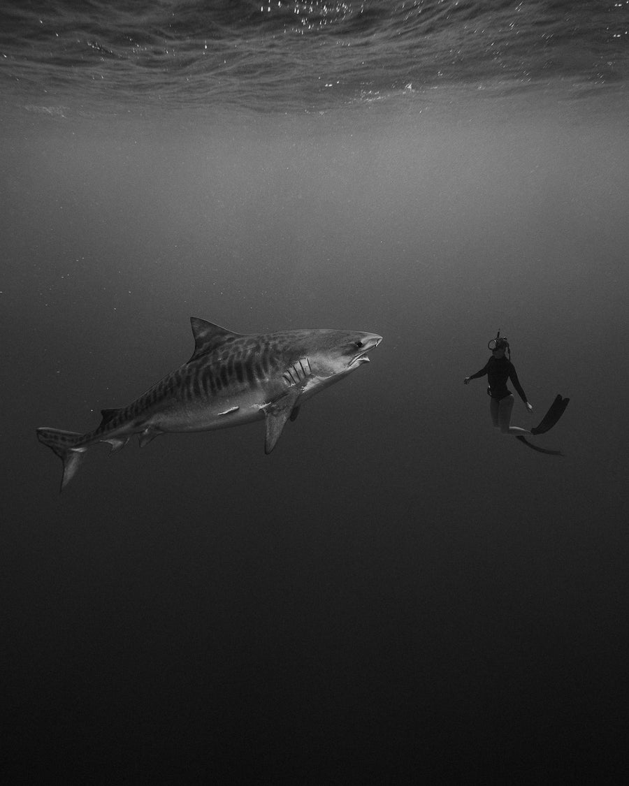The Encounter In Black And White By Brannon Jackson