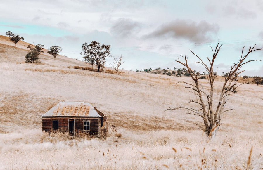 The Lonely Shack