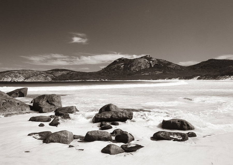 Thistle Cove by Steven Scott