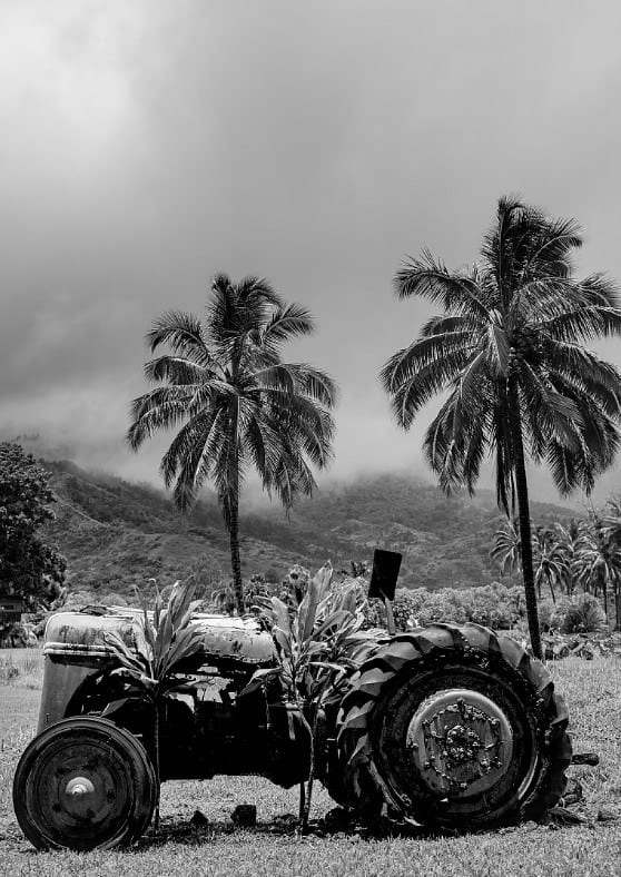 Tropic Tractor By Robin Skjoldborg